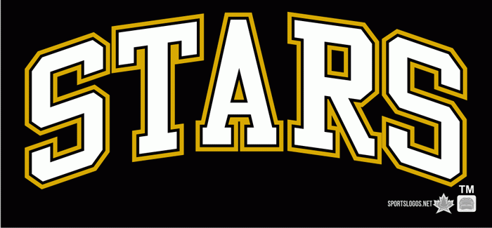 Texas Stars 2009 10-Pres Wordmark Logo1 iron on transfers for T-shirts